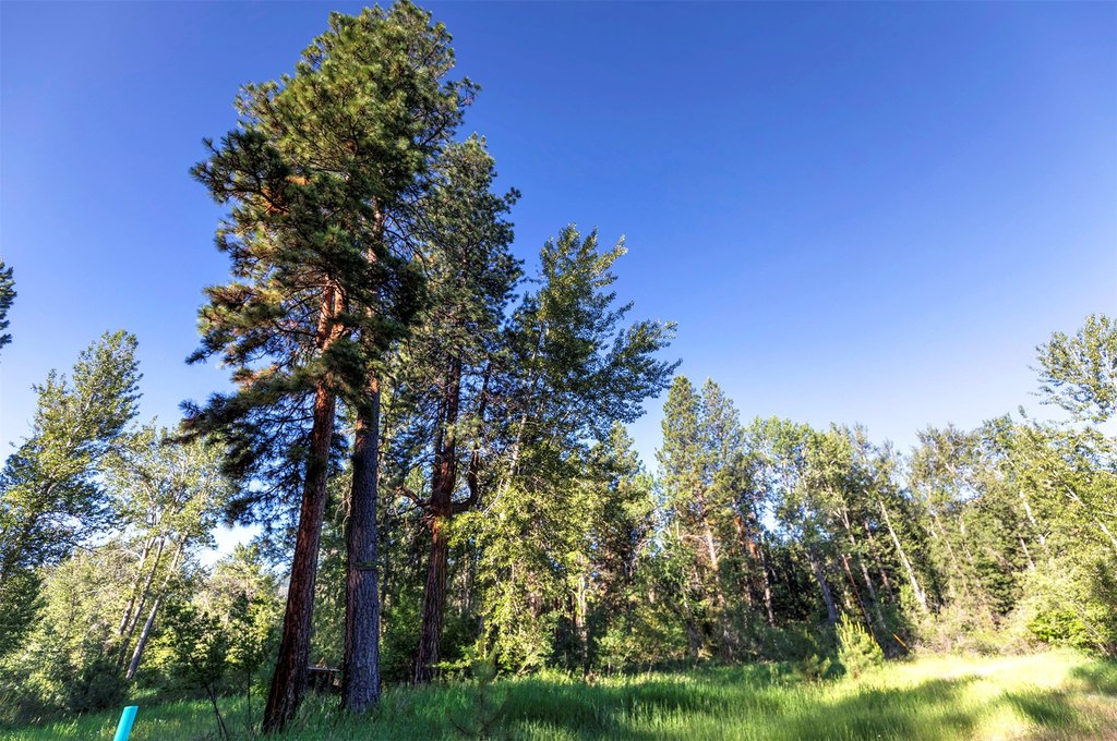 Conner, Montana, 59827, United States, ,Land,Forsale,1941173