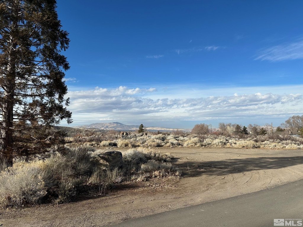 Reno, Nevada, 89511, United States, ,Land,Forsale,1910331