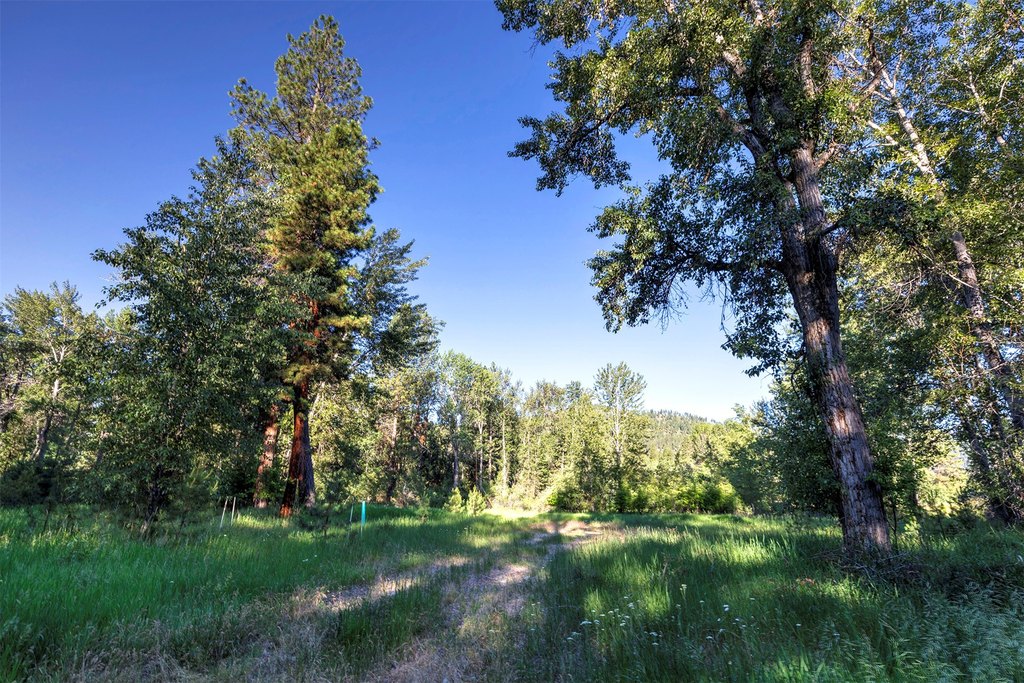 Conner, Montana, 59827, United States, ,Land,Forsale,1941173