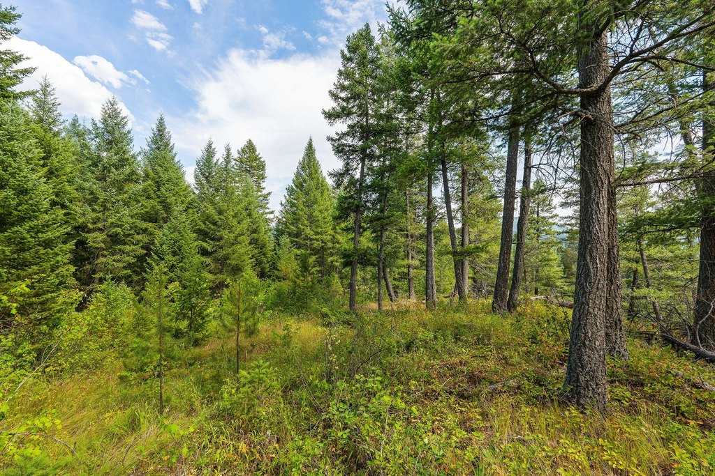 Columbia Falls, Montana, 59912, United States, ,Land,Forsale,1986950