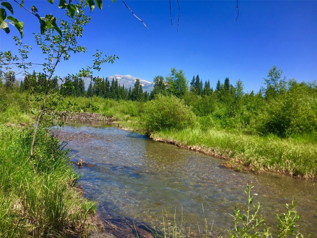 Polebridge, Montana, 59928, United States, ,Land,Forsale,1941170