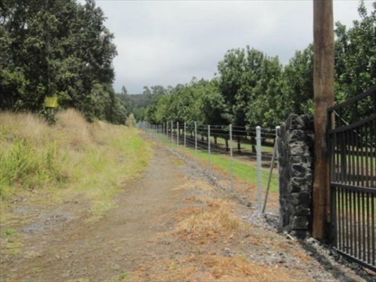 Naalehu, Hawaii, 96772, United States, ,Residential,Forsale,1953850