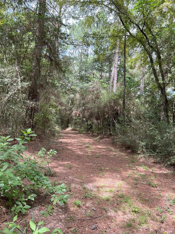 Waller, Texas, 77484, United States, ,Land,Forsale,1936469