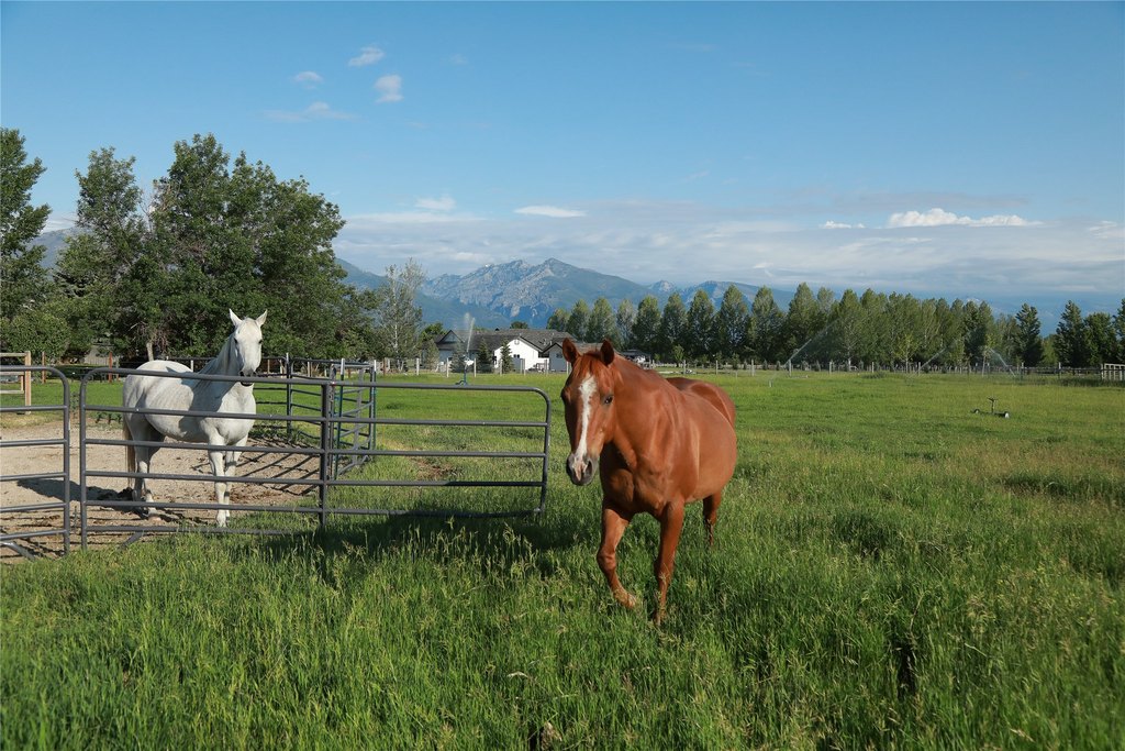 Hamilton, Montana, 59840, United States, 4 Bedrooms Bedrooms, ,4.5 BathroomsBathrooms,Residential,Forsale,1941161