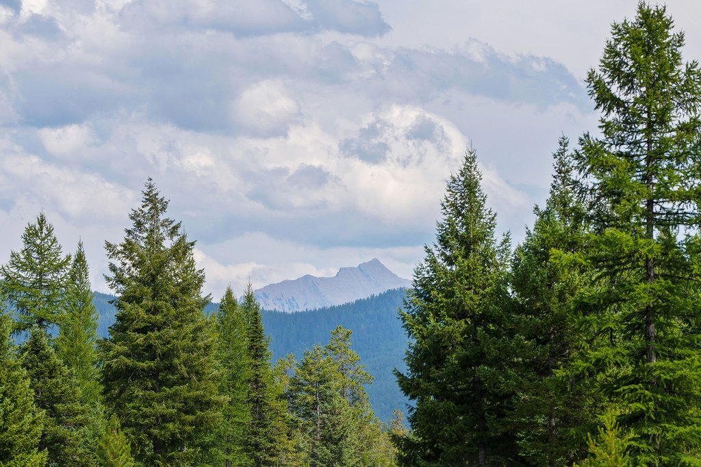 Columbia Falls, Montana, 59912, United States, ,Land,Forsale,1986950