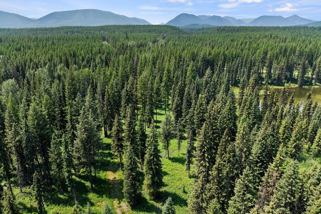 Polebridge, Montana, 59928, United States, ,Land,Forsale,1941170