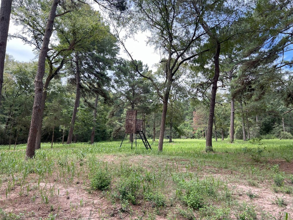 Waller, Texas, 77484, United States, ,Land,Forsale,1936469