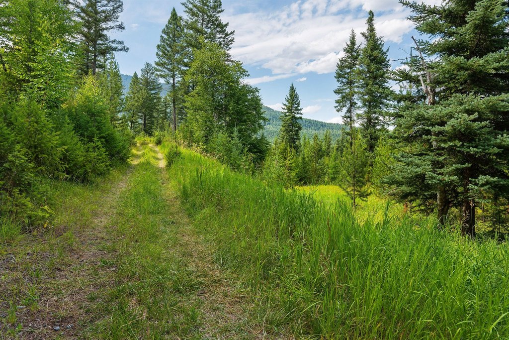 Columbia Falls, Montana, 59912, United States, ,Land,Forsale,1986950