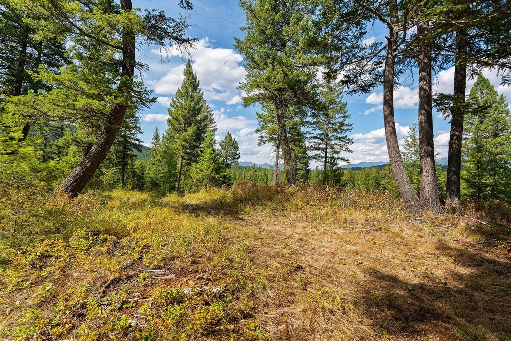 Columbia Falls, Montana, 59912, United States, ,Land,Forsale,1986950