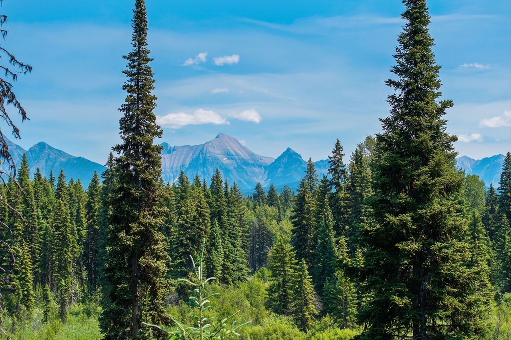 Polebridge, Montana, 59928, United States, ,Land,Forsale,1941170