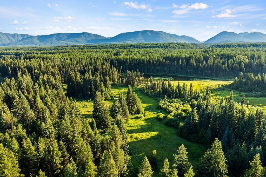 Polebridge, Montana, 59928, United States, ,Land,Forsale,1941170