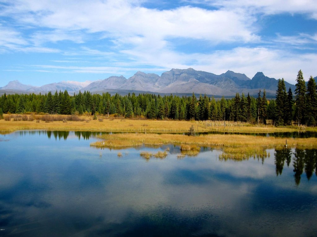 Polebridge, Montana, 59928, United States, ,Land,Forsale,1941170