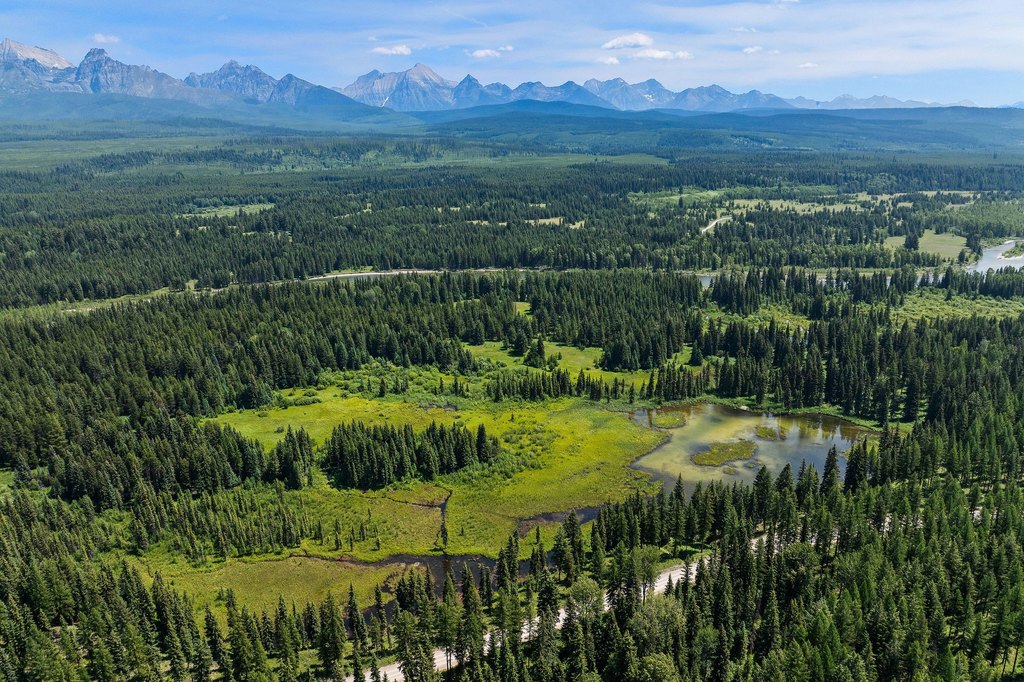 Polebridge, Montana, 59928, United States, ,Land,Forsale,1941170