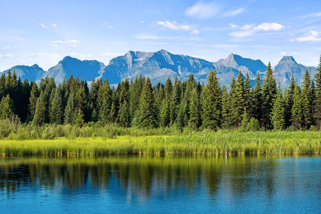 Polebridge, Montana, 59928, United States, ,Land,Forsale,1941170