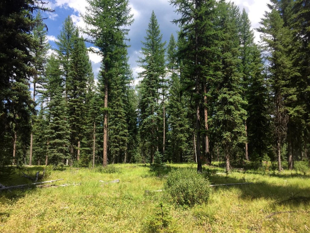 Polebridge, Montana, 59928, United States, ,Land,Forsale,1941170
