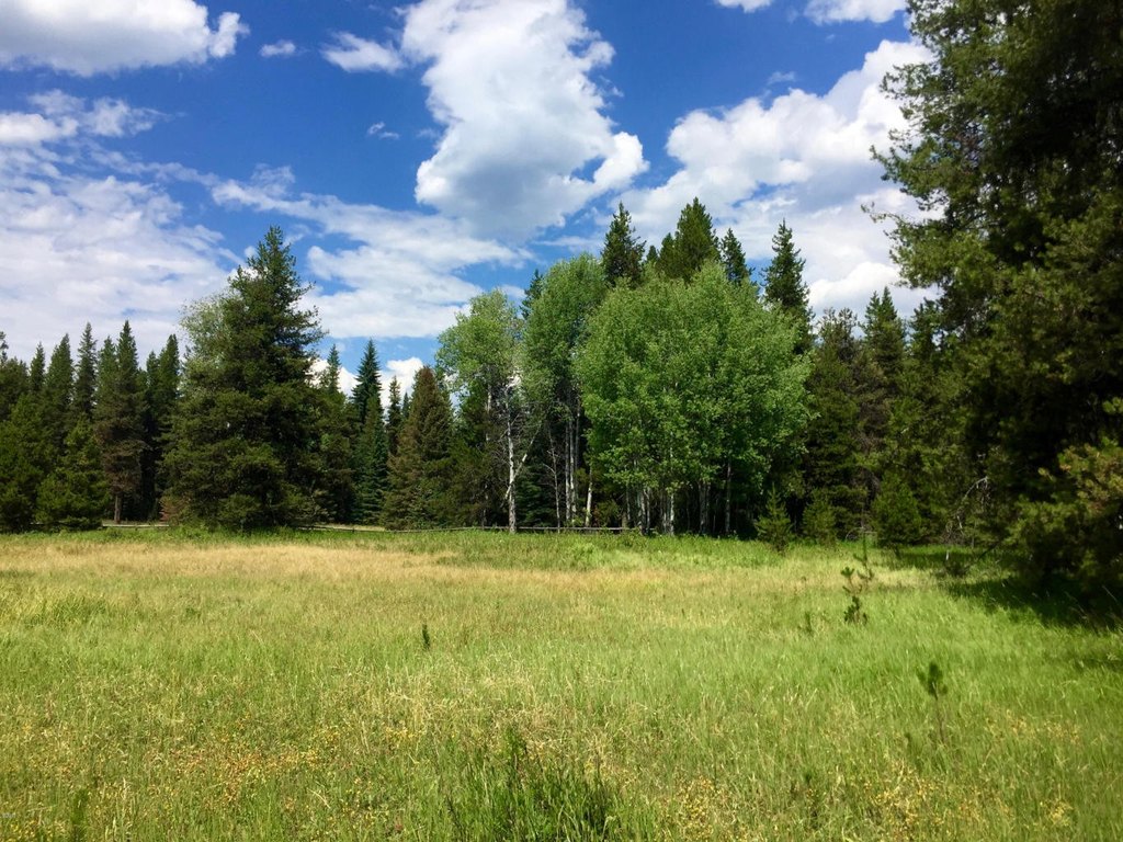 Polebridge, Montana, 59928, United States, ,Land,Forsale,1941170