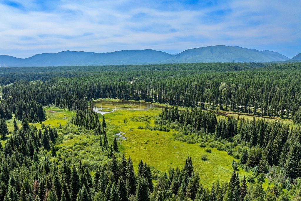 Polebridge, Montana, 59928, United States, ,Land,Forsale,1941170