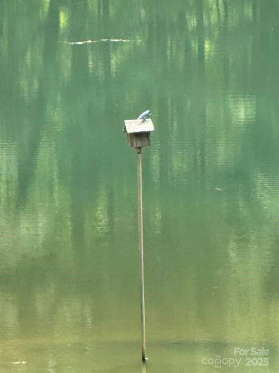 Columbus, North Carolina, 28722, United States, 3 Bedrooms Bedrooms, ,2 BathroomsBathrooms,Residential,Forsale,1964330