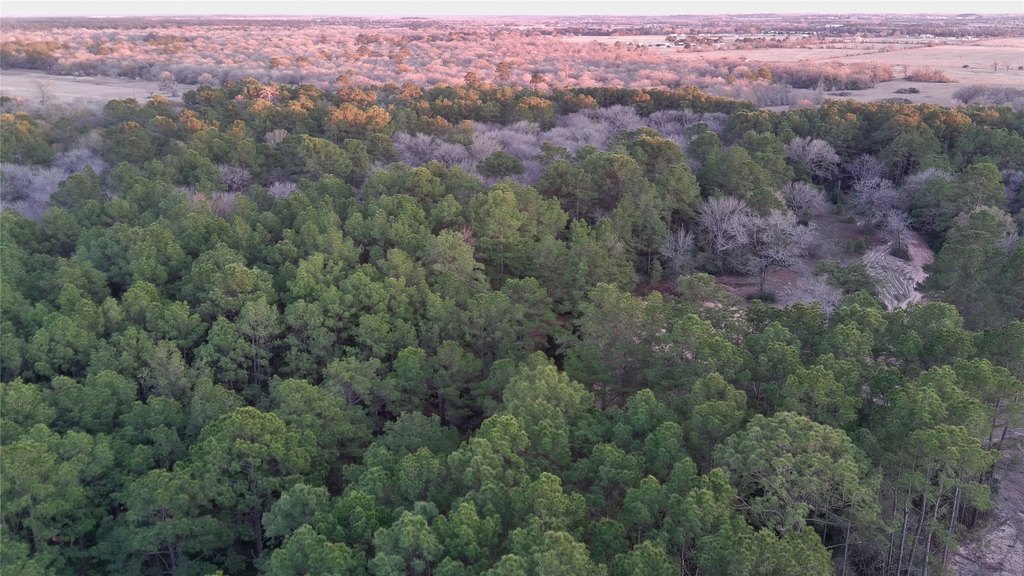 Waller, Texas, 77484, United States, ,Land,Forsale,1936469