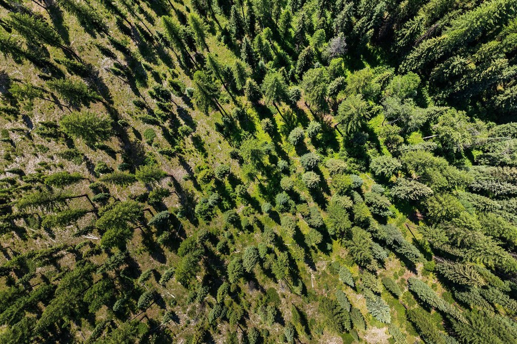Polebridge, Montana, 59928, United States, ,Land,Forsale,1941170