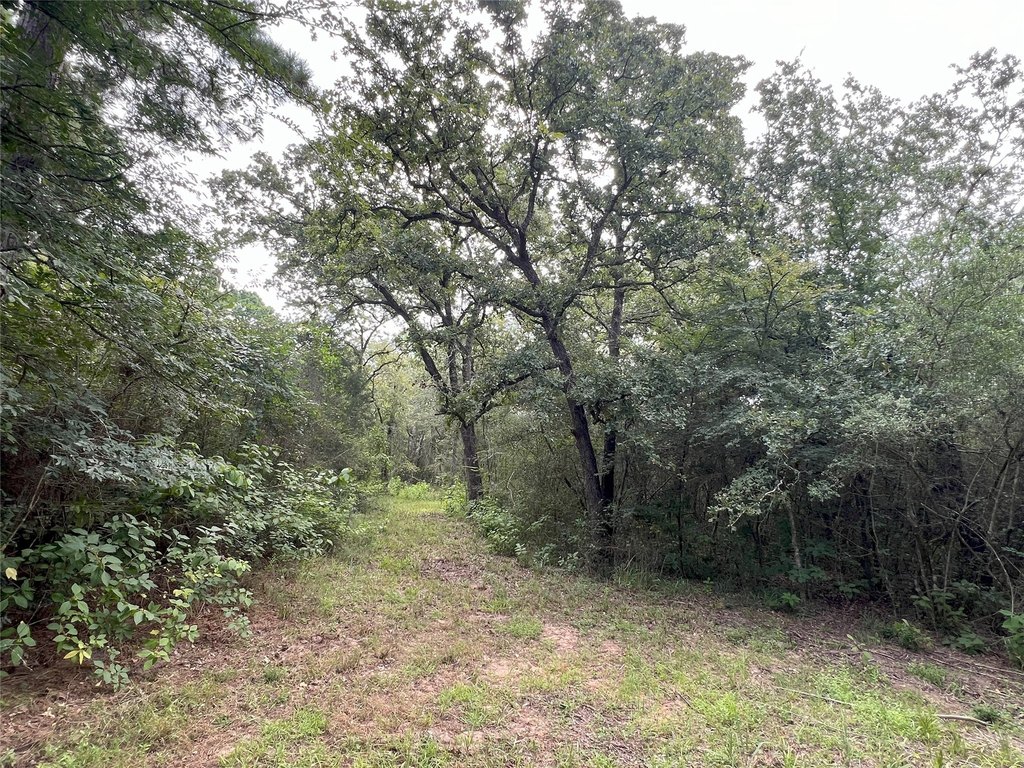 Waller, Texas, 77484, United States, ,Land,Forsale,1936469