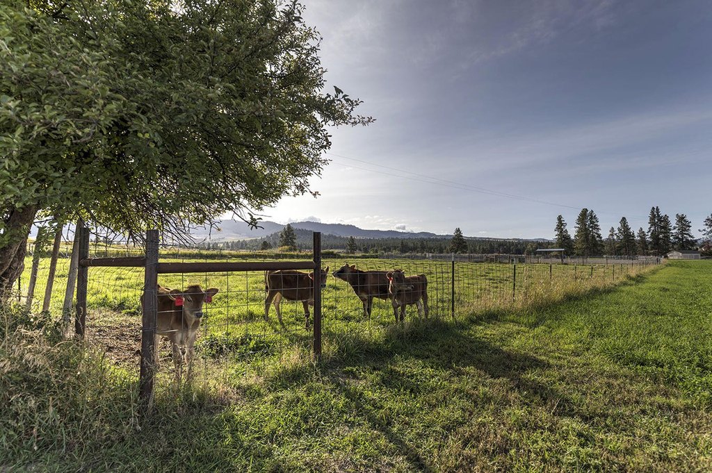 Corvallis, Montana, 59828, United States, 3 Bedrooms Bedrooms, ,3.5 BathroomsBathrooms,Residential,Forsale,1941162