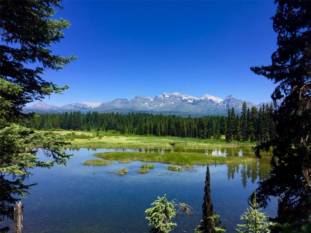 Polebridge, Montana, 59928, United States, ,Land,Forsale,1941170