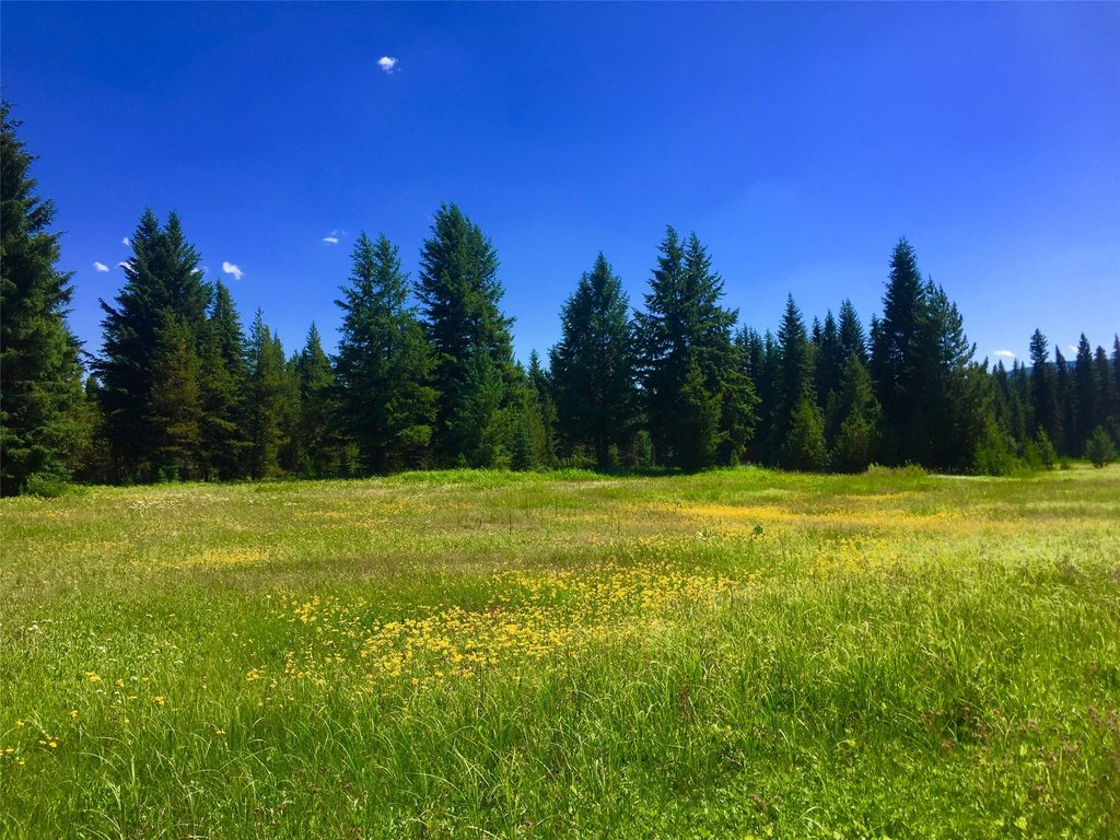 Polebridge, Montana, 59928, United States, ,Land,Forsale,1941170