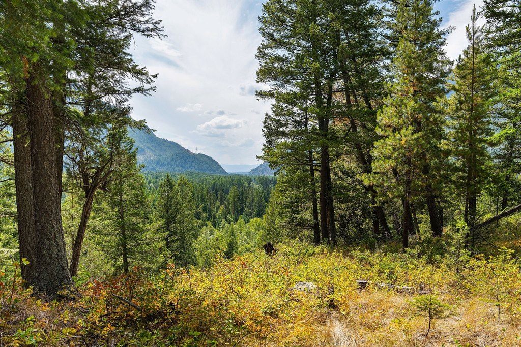 Columbia Falls, Montana, 59912, United States, ,Land,Forsale,1986950