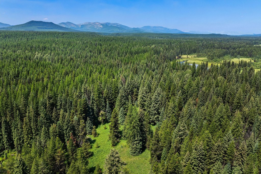 Polebridge, Montana, 59928, United States, ,Land,Forsale,1941170