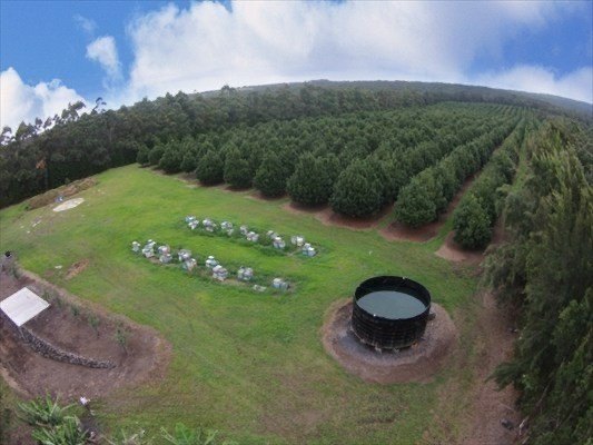 Naalehu, Hawaii, 96772, United States, ,Residential,Forsale,1953850