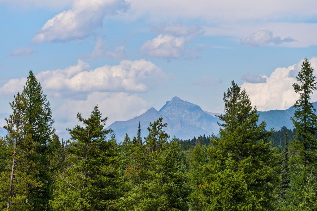 Columbia Falls, Montana, 59912, United States, ,Land,Forsale,1986950