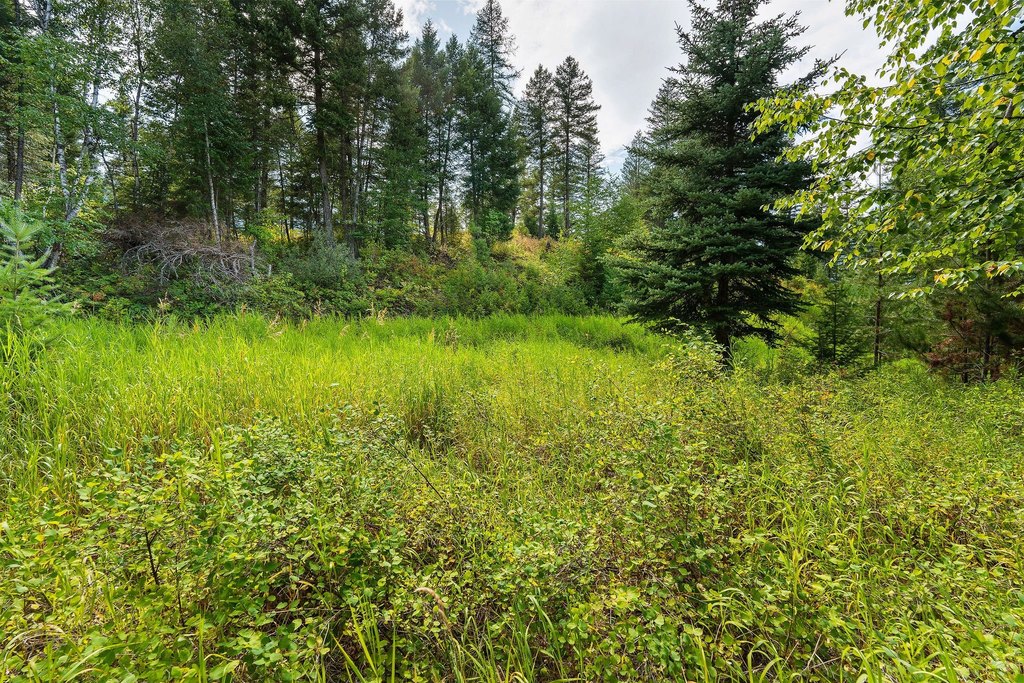 Columbia Falls, Montana, 59912, United States, ,Land,Forsale,1986950