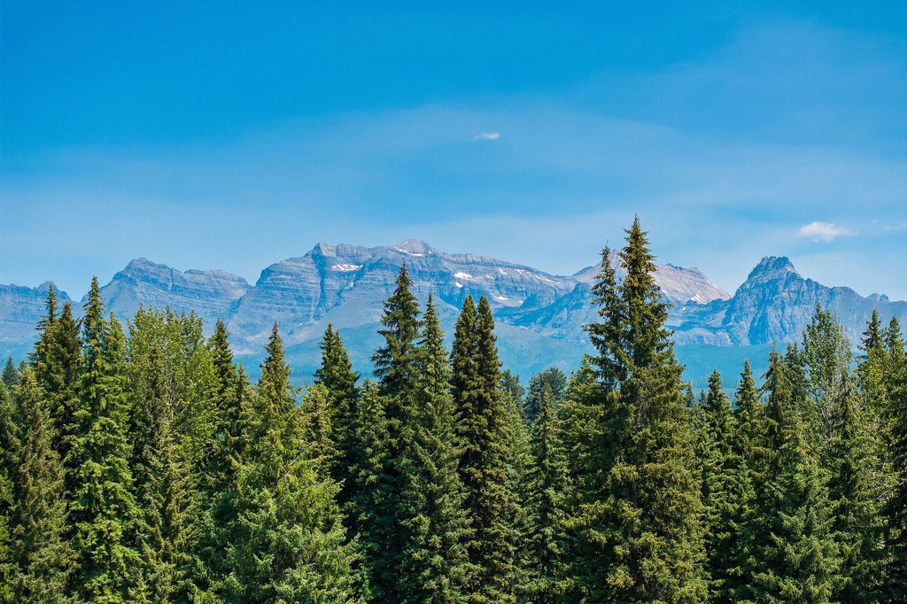 Polebridge, Montana, 59928, United States, ,Land,Forsale,1941170