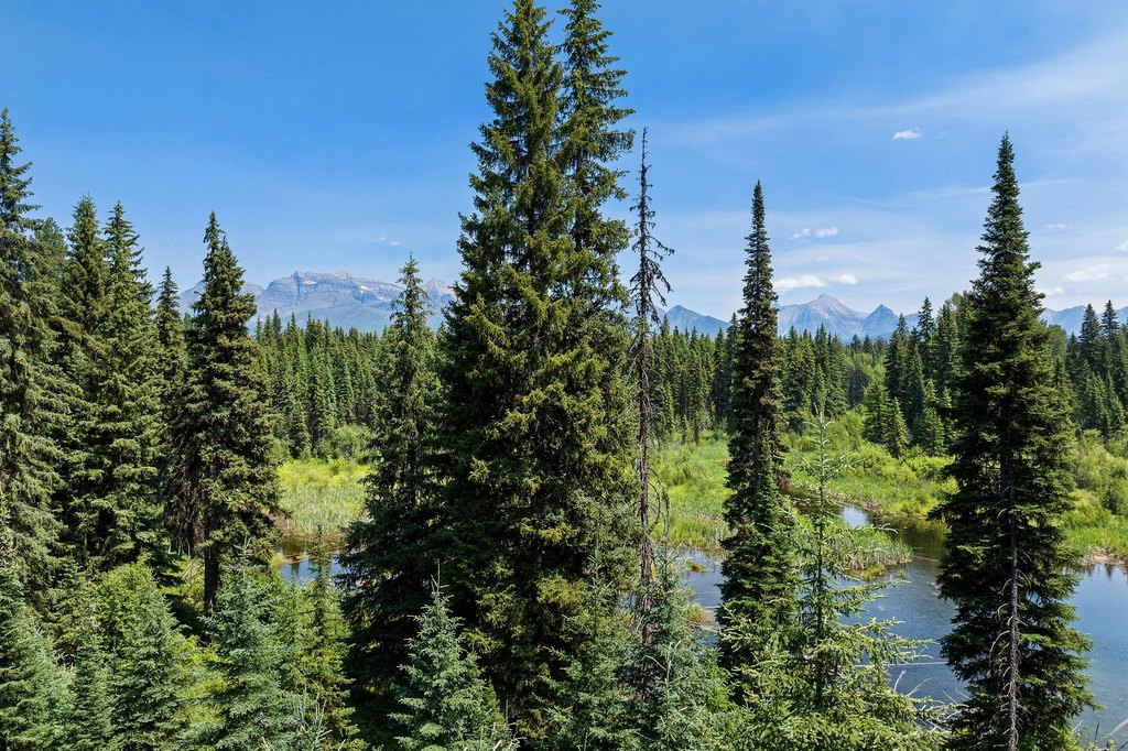 Polebridge, Montana, 59928, United States, ,Land,Forsale,1941170