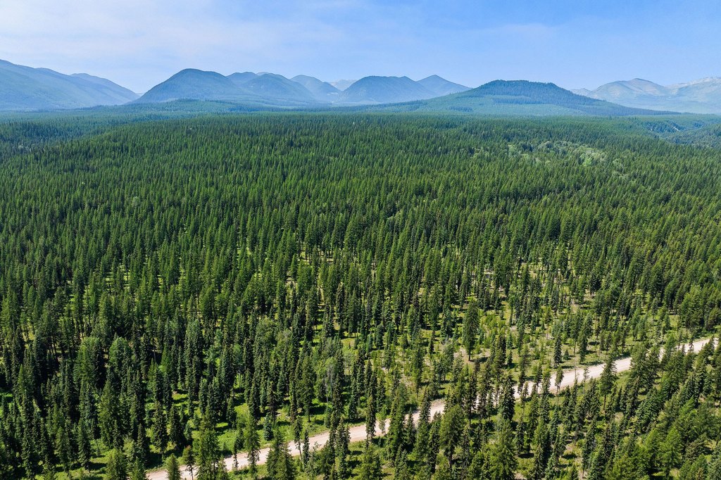 Polebridge, Montana, 59928, United States, ,Land,Forsale,1941170
