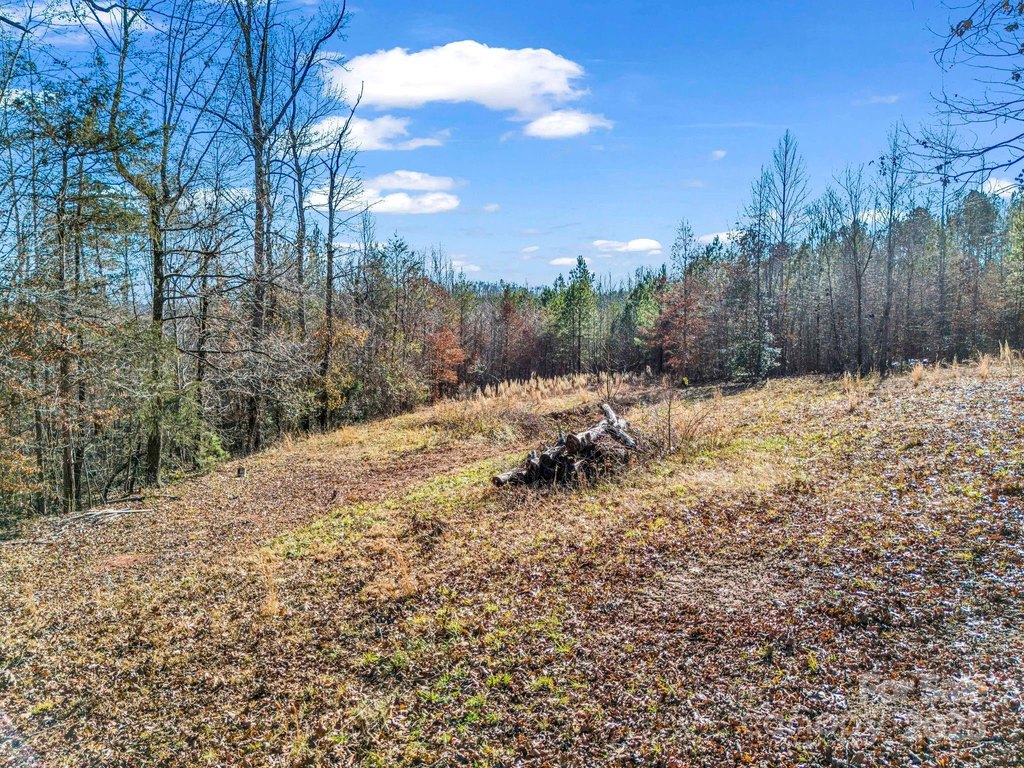 Columbus, North Carolina, 28722, United States, 3 Bedrooms Bedrooms, ,2 BathroomsBathrooms,Residential,Forsale,1964330