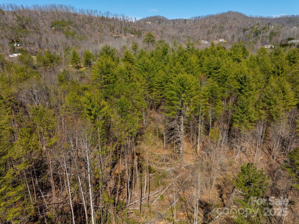 Weaverville, North Carolina, 28787, United States, ,Land,Forsale,1904884
