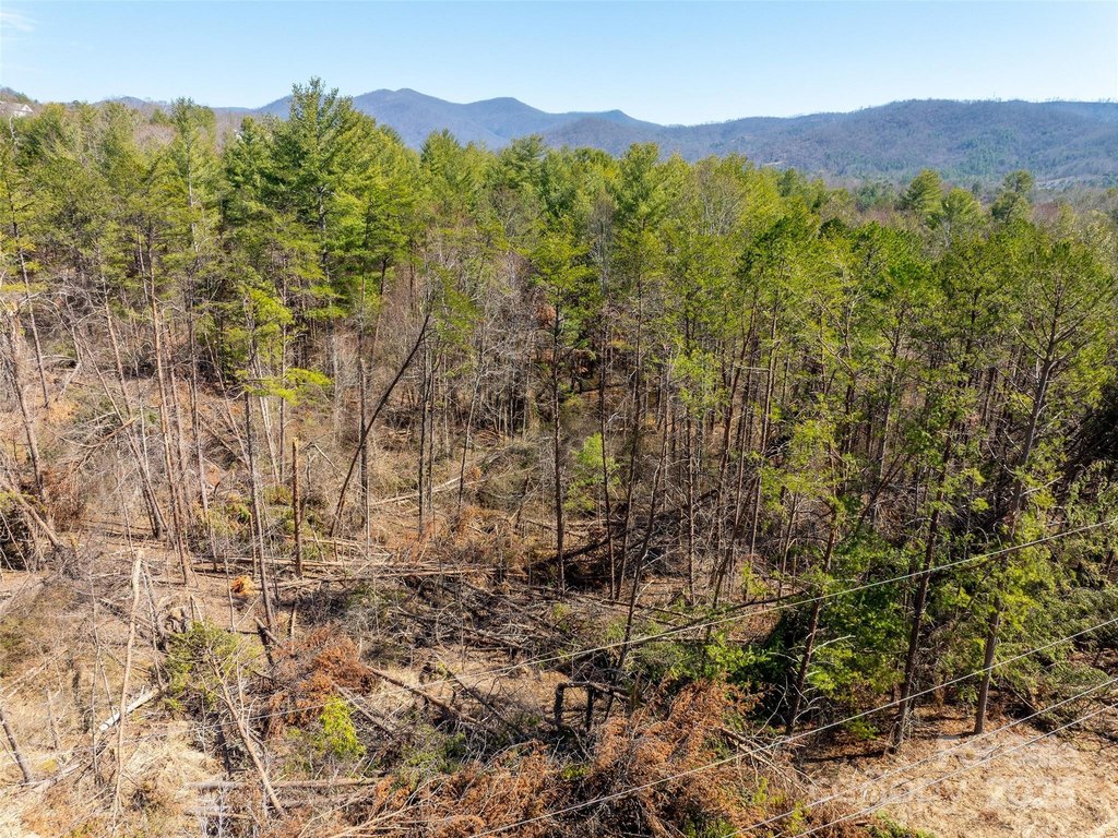 Weaverville, North Carolina, 28787, United States, ,Land,Forsale,1904884