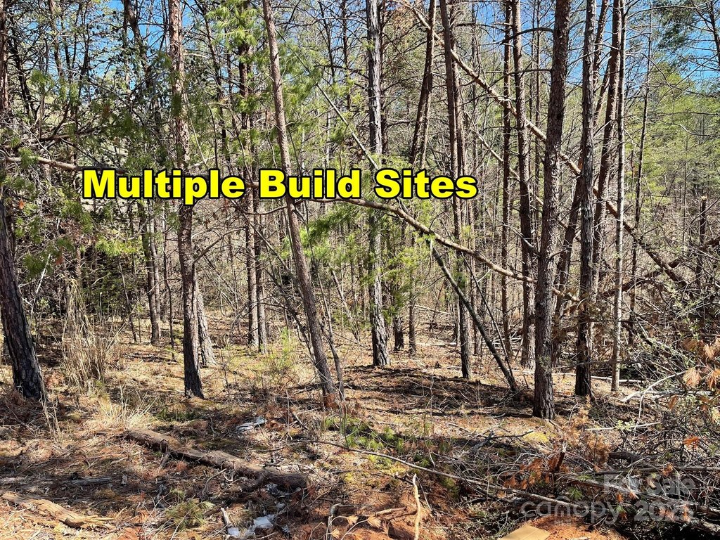 Weaverville, North Carolina, 28787, United States, ,Land,Forsale,1904884