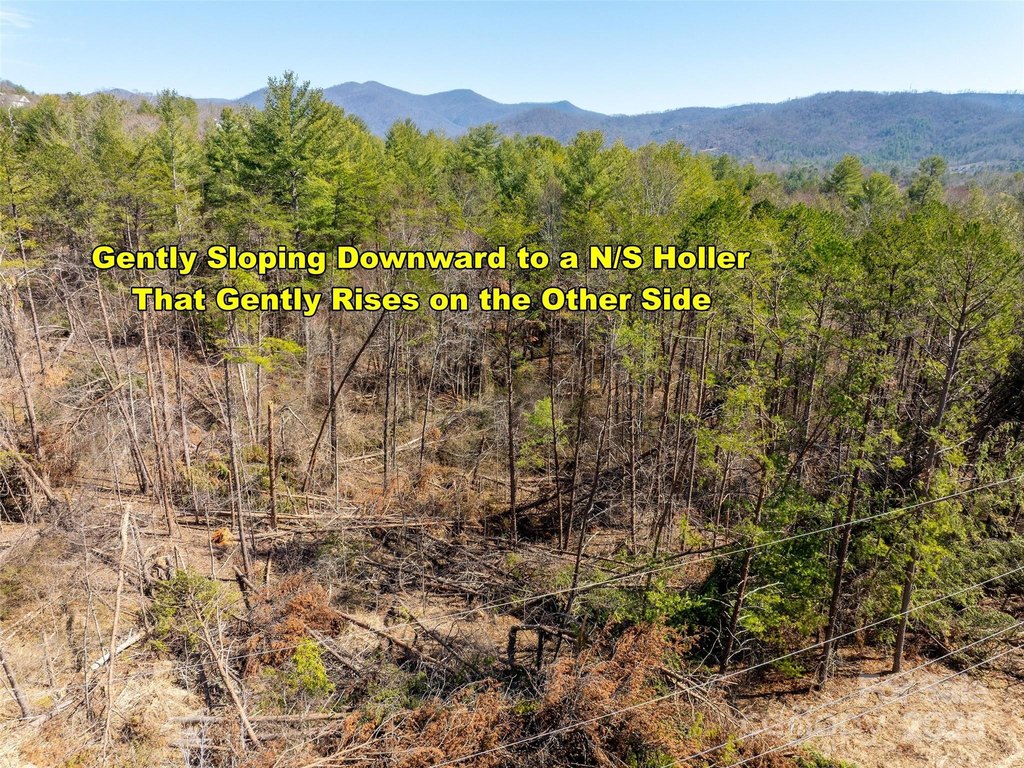 Weaverville, North Carolina, 28787, United States, ,Land,Forsale,1904884