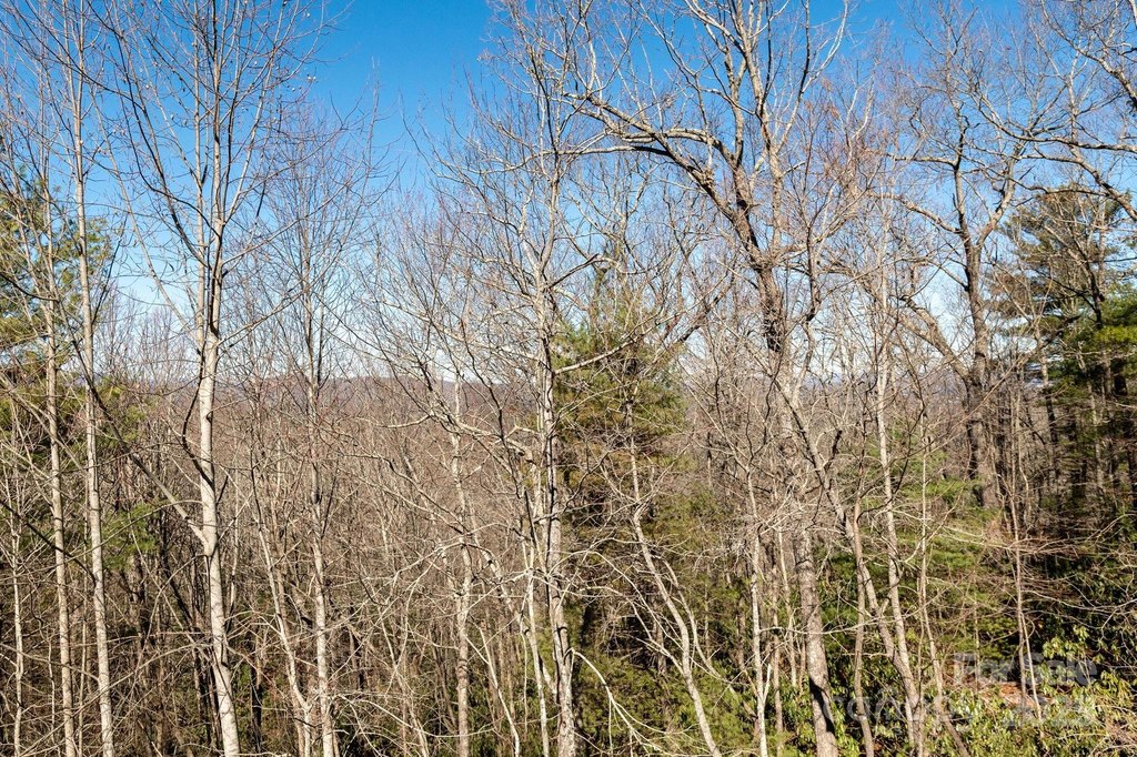 Flat Rock, North Carolina, 28731, United States, 3 Bedrooms Bedrooms, ,2.5 BathroomsBathrooms,Residential,Forsale,1886044