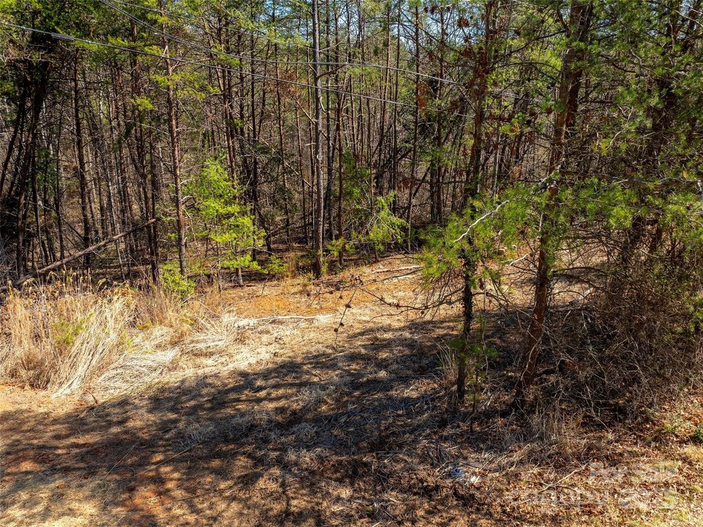 Weaverville, North Carolina, 28787, United States, ,Land,Forsale,1904884