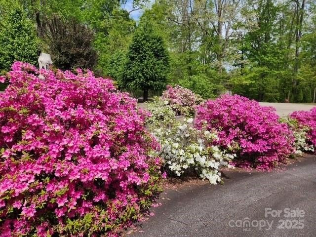 Saluda, North Carolina, 28773, United States, 3 Bedrooms Bedrooms, ,2 BathroomsBathrooms,Residential,Forsale,1886040