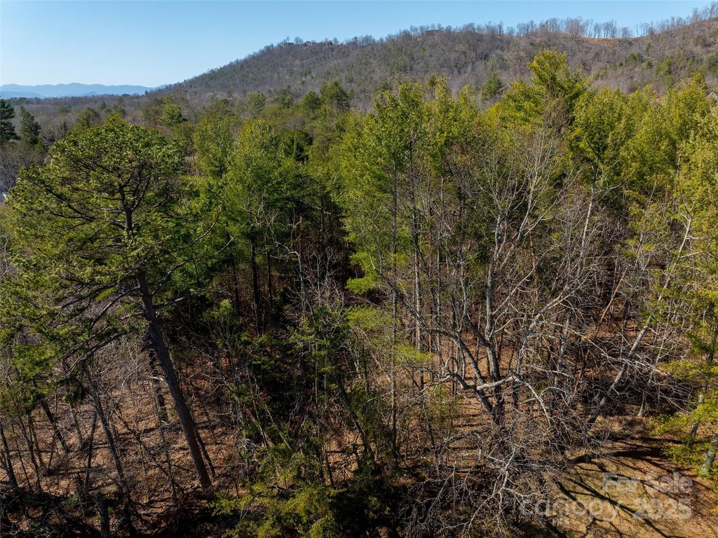 Weaverville, North Carolina, 28787, United States, ,Land,Forsale,1904884
