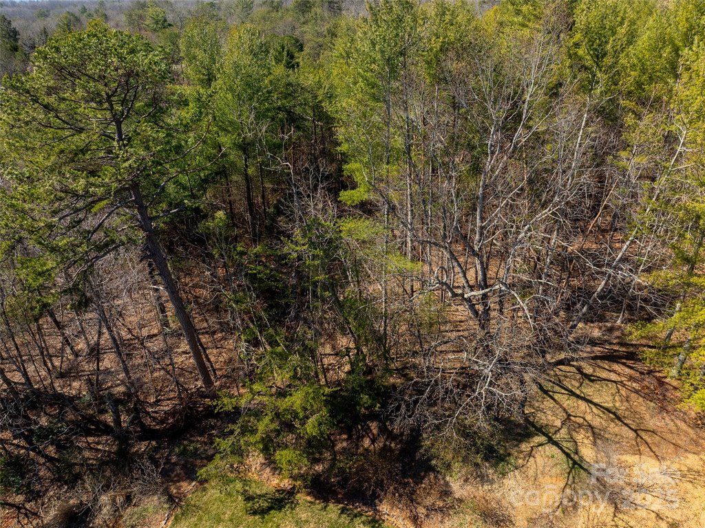 Weaverville, North Carolina, 28787, United States, ,Land,Forsale,1904884
