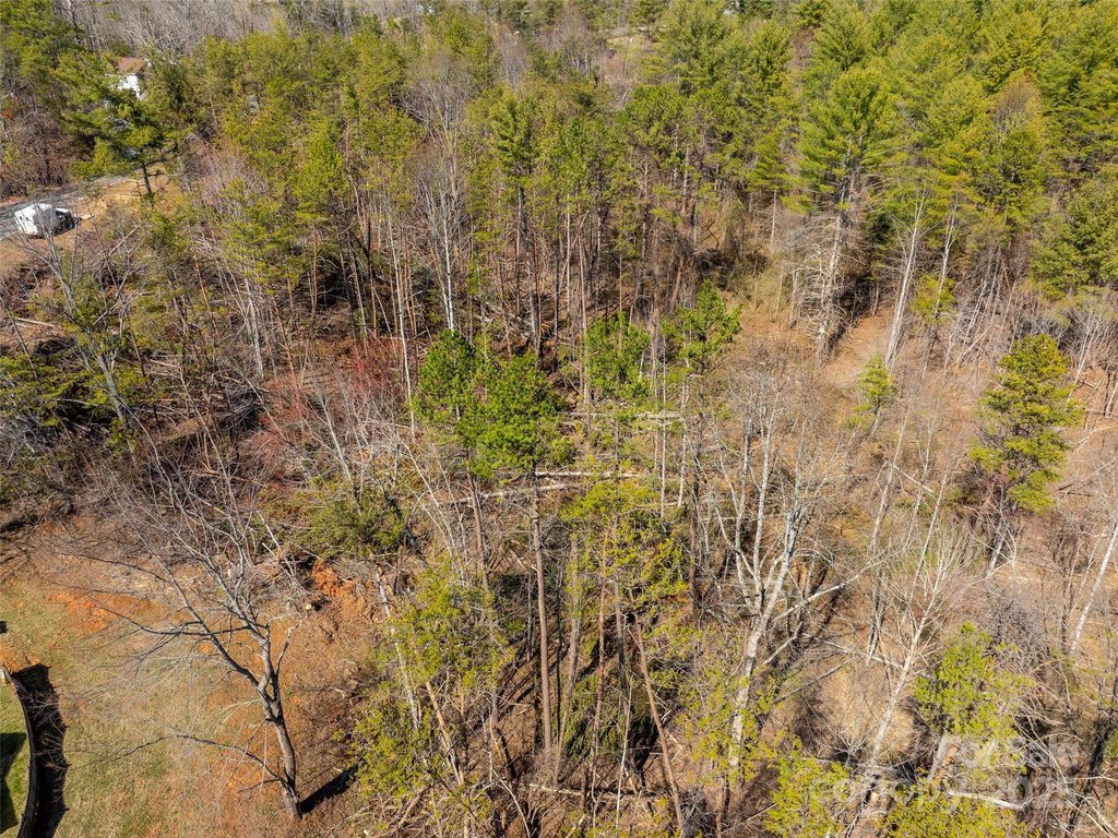 Weaverville, North Carolina, 28787, United States, ,Land,Forsale,1904884