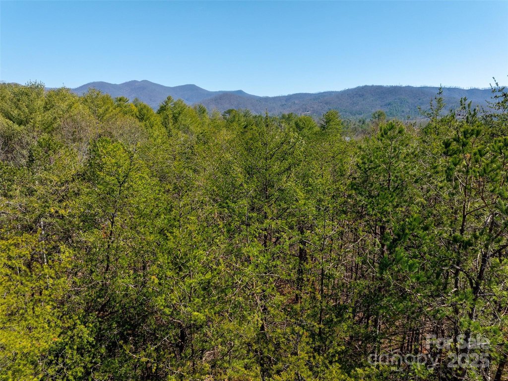 Weaverville, North Carolina, 28787, United States, ,Land,Forsale,1904884