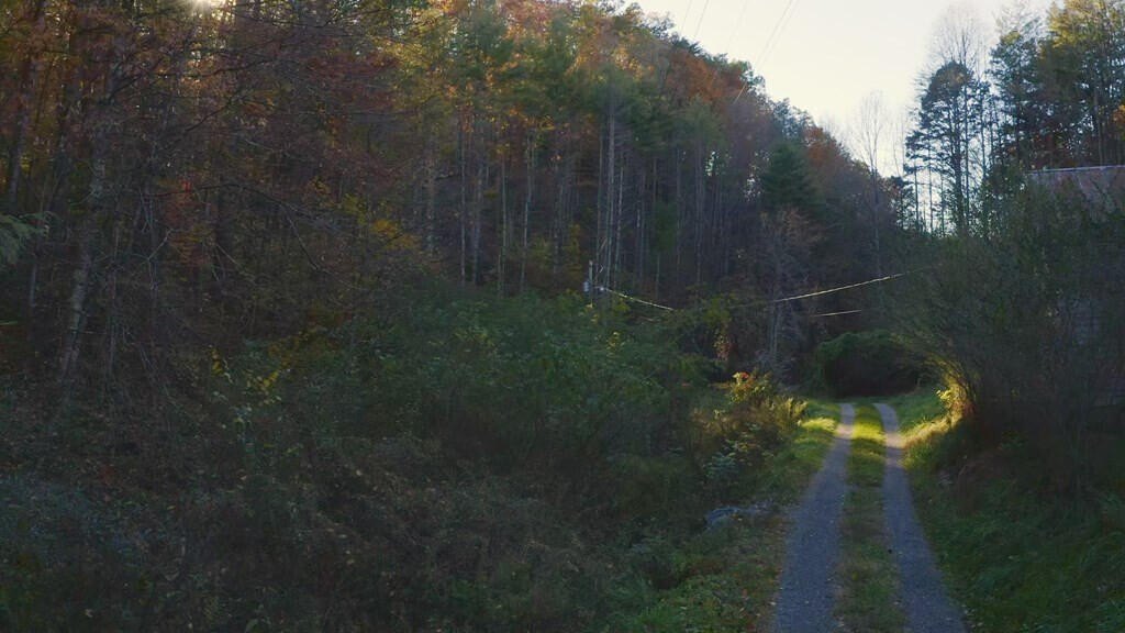 Del Rio, Tennessee, 37727, United States, ,Land,Forsale,2001121