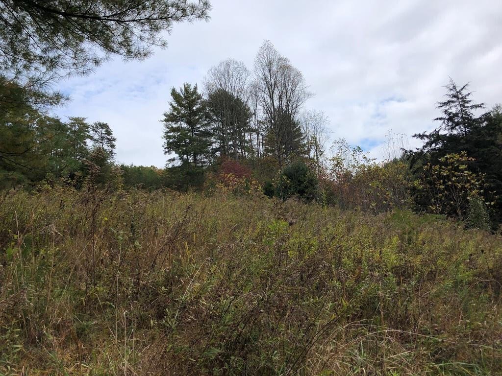 Del Rio, Tennessee, 37727, United States, ,Land,Forsale,2001121